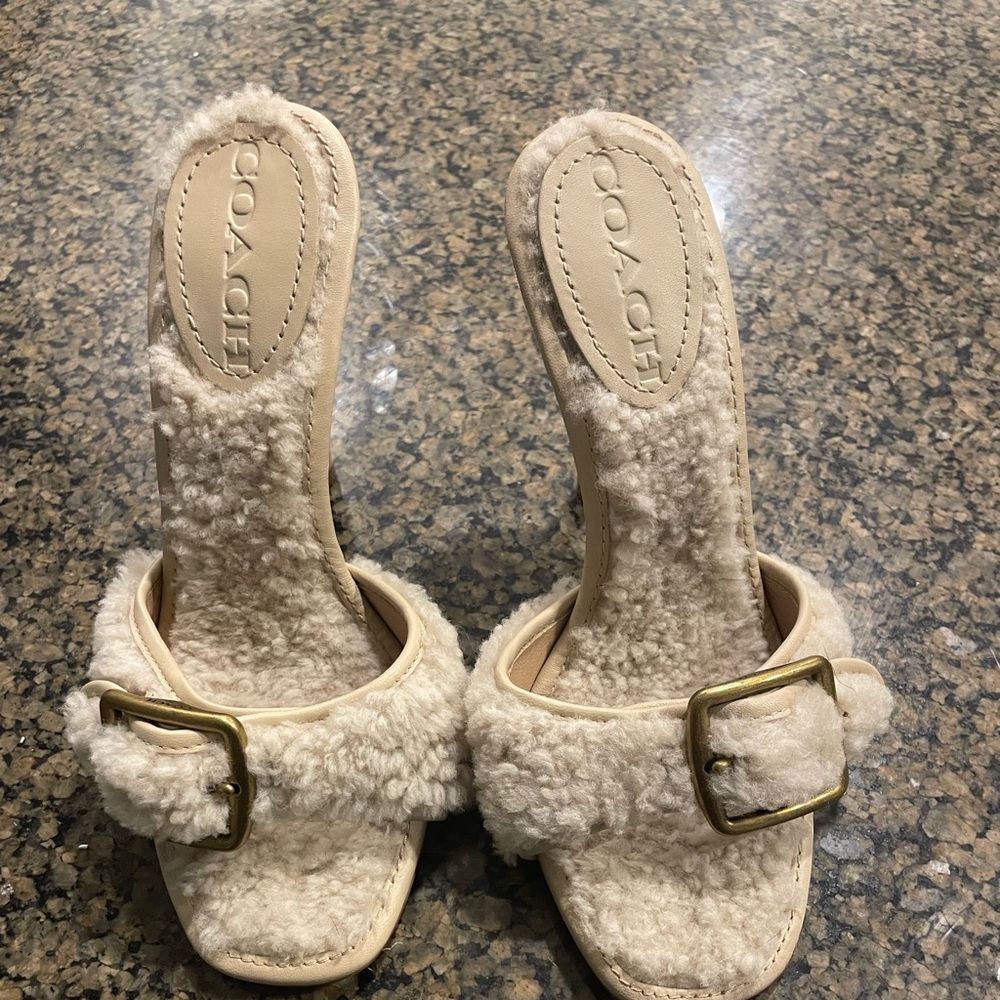 Coach size six